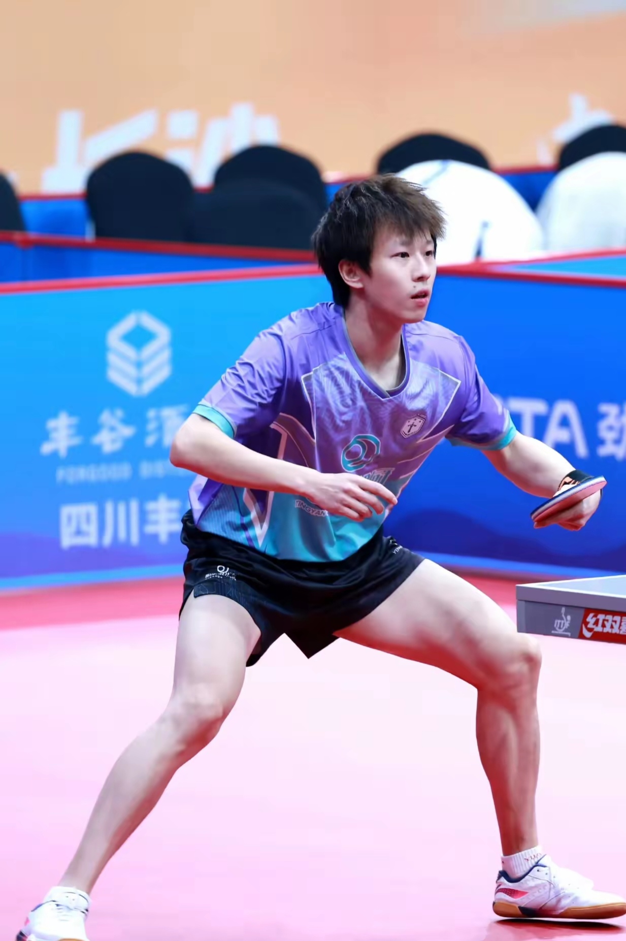 波兰队碾压中国队，林高远高光表现的简单介绍